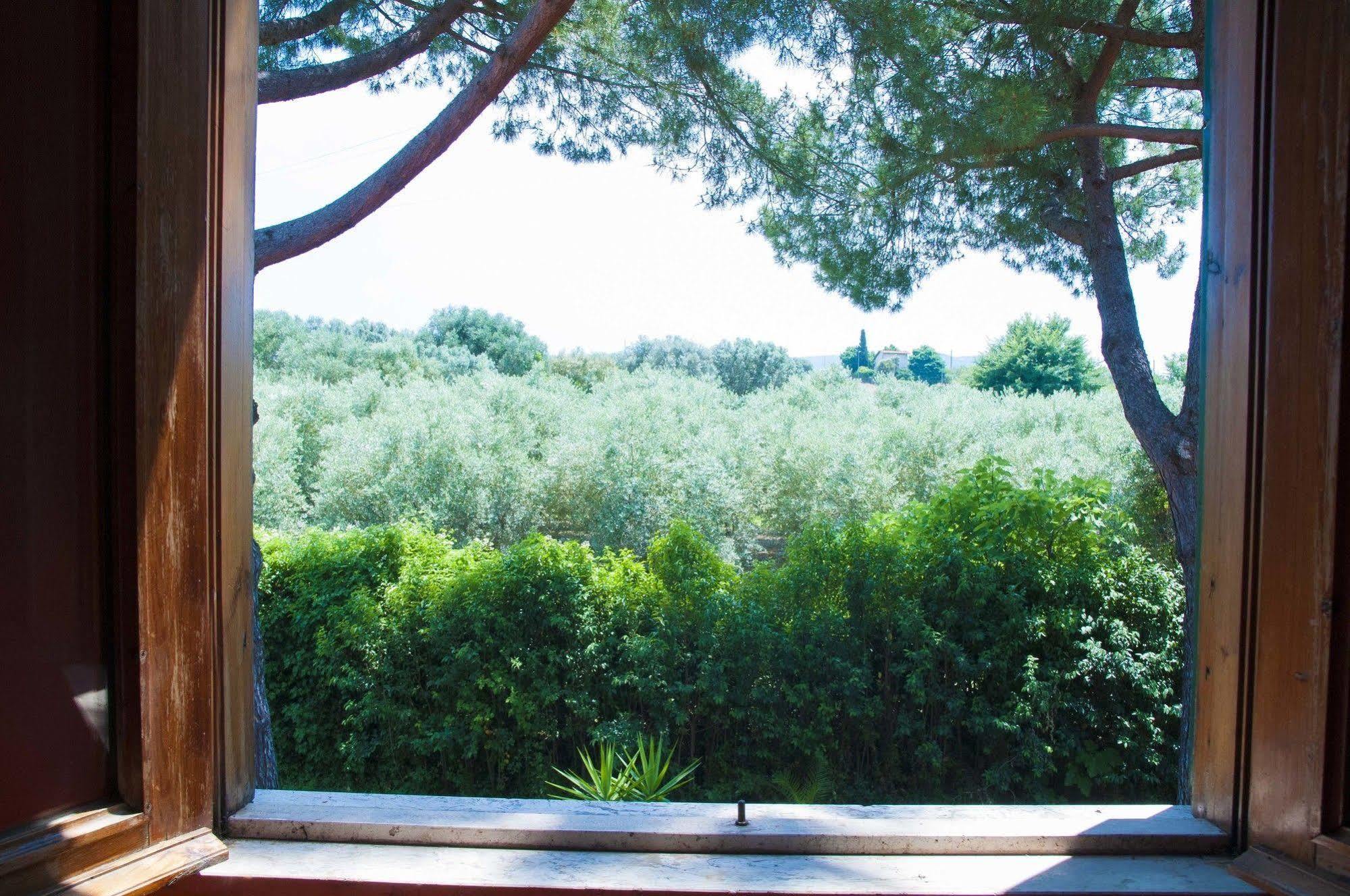 Hotel Villa Maria Luigia Frascati Exterior photo